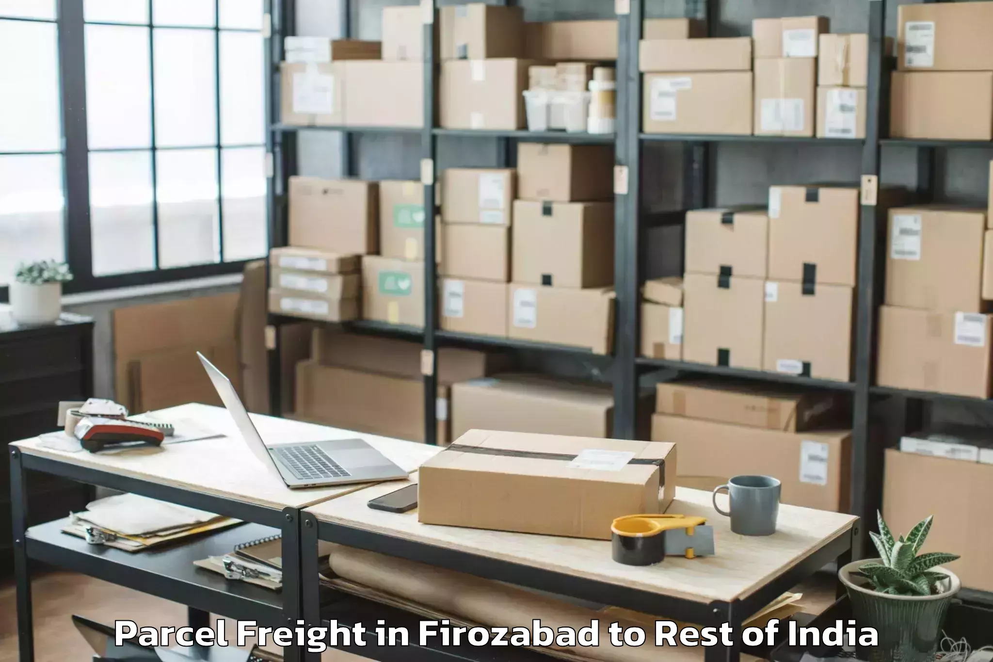 Leading Firozabad to Pattan Parcel Freight Provider